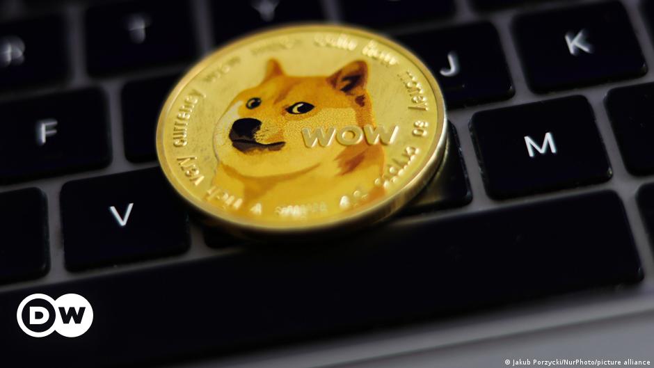 Kabosu, the Shiba Inu who became the face of Dogecoin,&nbsp;dies