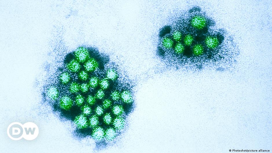 Norovirus outbreak hospitalizes hundreds in Italian&nbsp;village